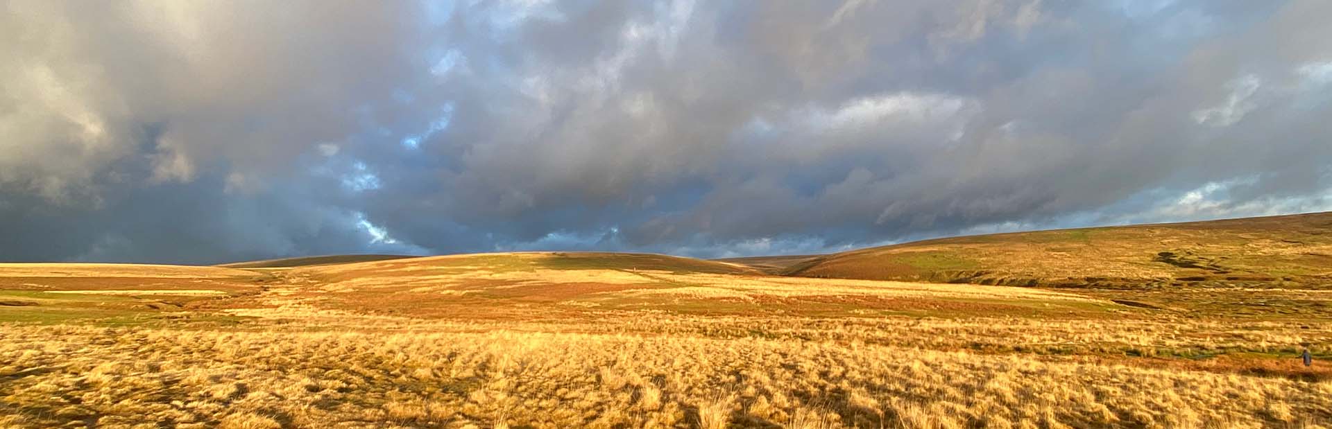 View across Dartmoor in Autumn